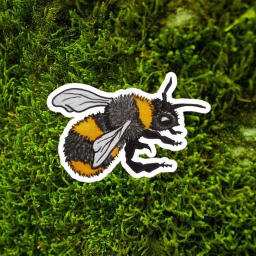 Bumble Bee Vinyl Sticker - Etsy