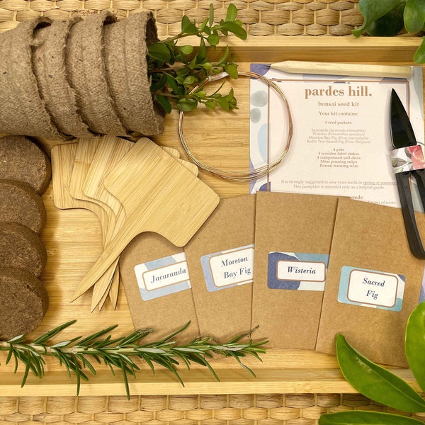 bonsai seed kit - eco garden gift - plant kit - grow-your-own bonsai box - outdoor gardening present - DIY - wedding favour