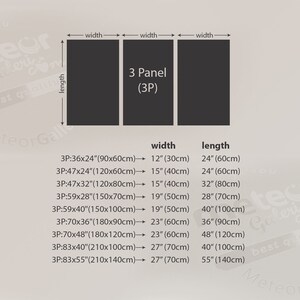 Japanese Woman Wall Art Canvas Print Ethnic Set of 3 Home Living Room ...