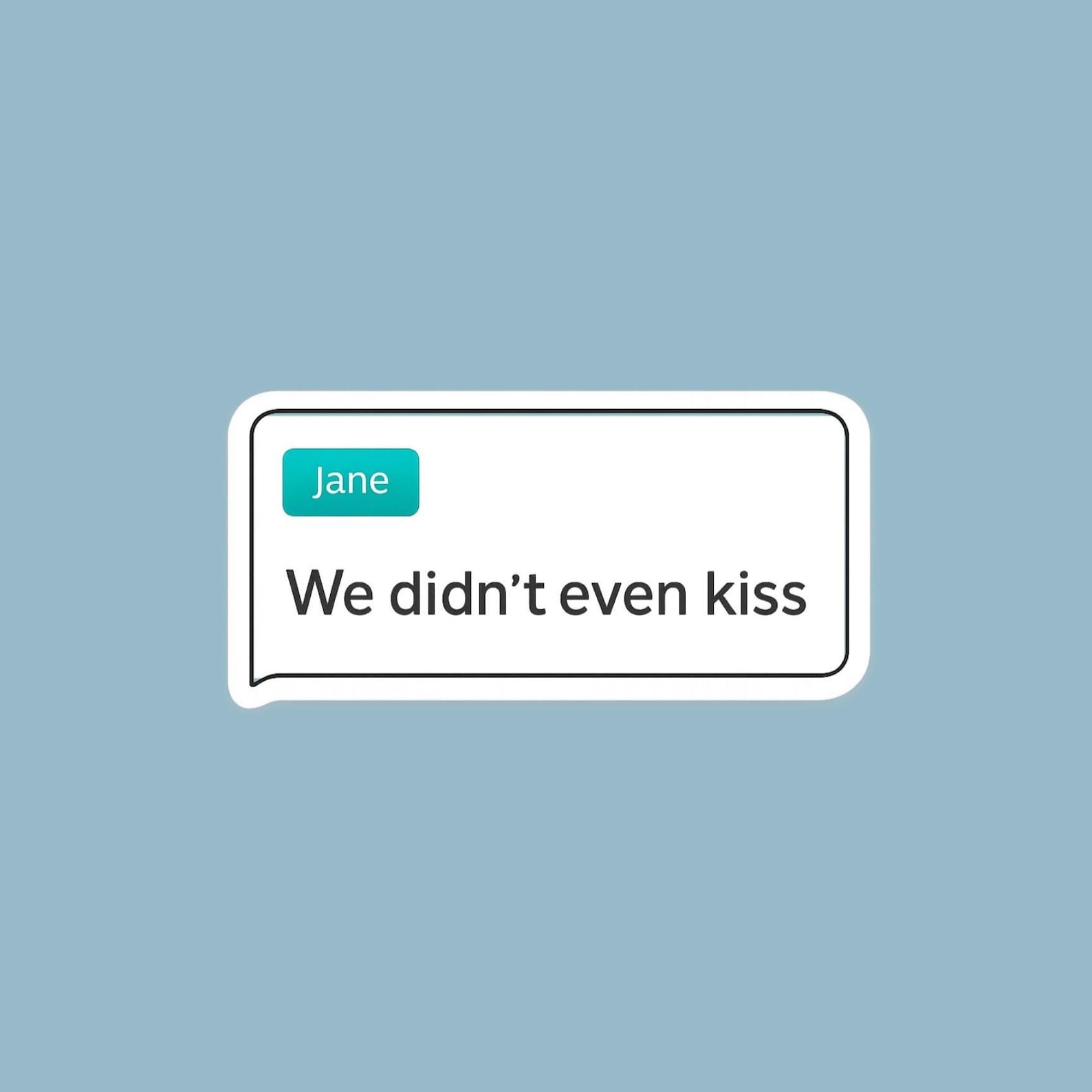 Heated Rivalry Inspired Vinyl Sticker: We Didn't Even Kiss Jane Sticker ...