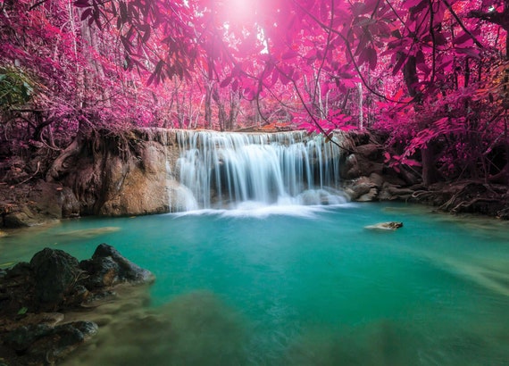 Fondo de pantalla de cascadas papel tapiz de árbol rosa - Etsy México Fondo de pantalla de cascadas papel tapiz de árbol rosa - Etsy México
