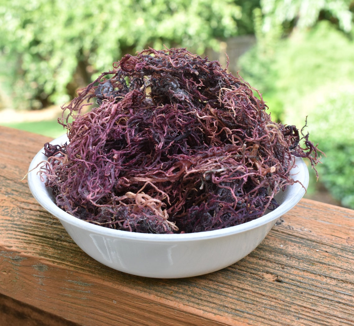 PURPLE Sea Moss Wildcrafted from St. Lucia 100 NATURAL Etsy