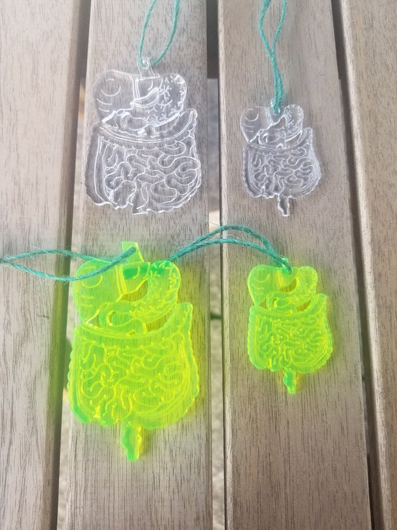 Acrylic, Stomach, Ornament, Digestive System, Neon, Laser Engraved, Laser Cut