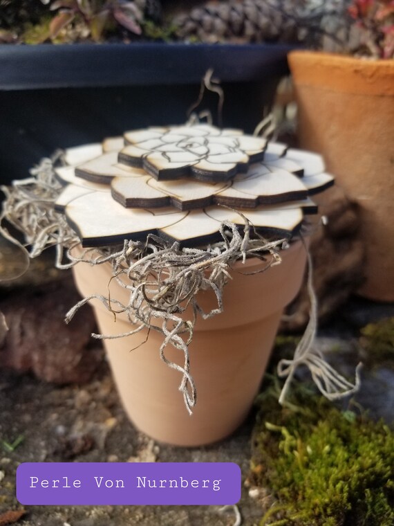 Wood, Potted Succulent, Terra Cotta Pot, Laser Engraved, Laser Cut