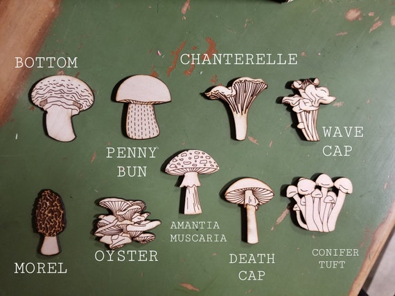 Wood, Acrylic, Rounds, Mushroom, Ornament, Mushroom, Morel, Chanterelle, Penny Bun, Death Cap, Oyster, Fungi