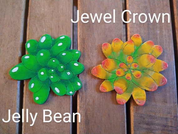 Wood, Painted, Laser Cut, Succulent, Jelly Bean, Jewel Crown, Lola, Neon Breaker, Topsy Turvy