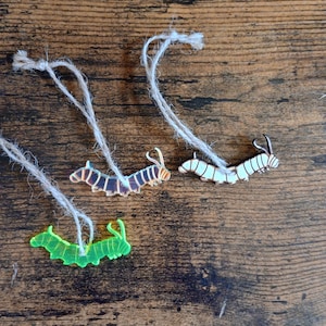 Wood, Acrylic, Caterpillar, Ornament, Cut Out