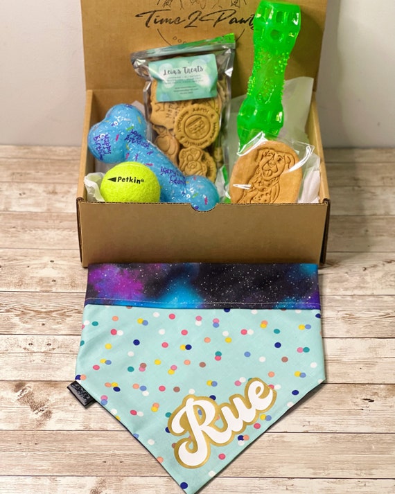 Chewer dog box sale