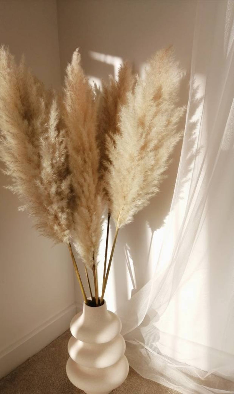 EXTRA FLUFFY Premium Pampas Grass Natural Dried Pampas | Etsy