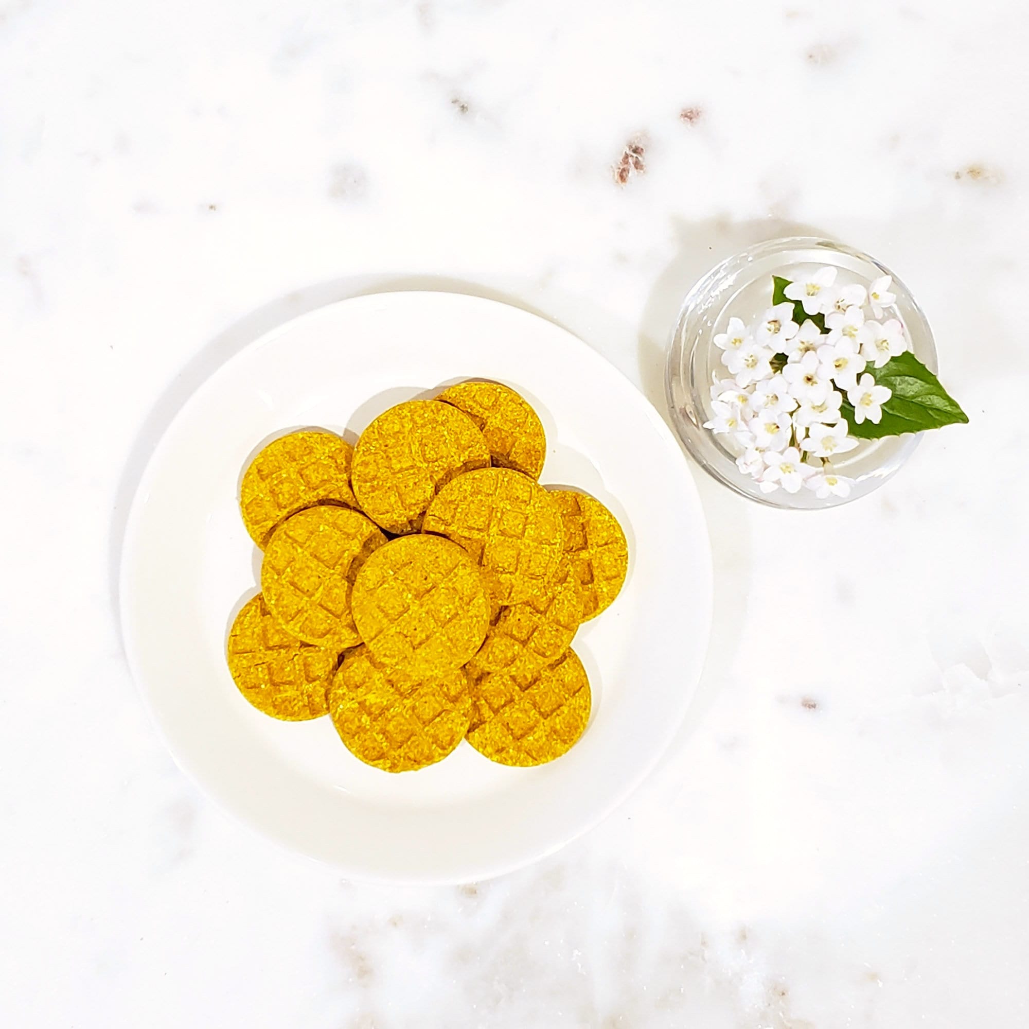 Turmeric Shocker: Is Your Dog Secretly Suffering? - u5au912