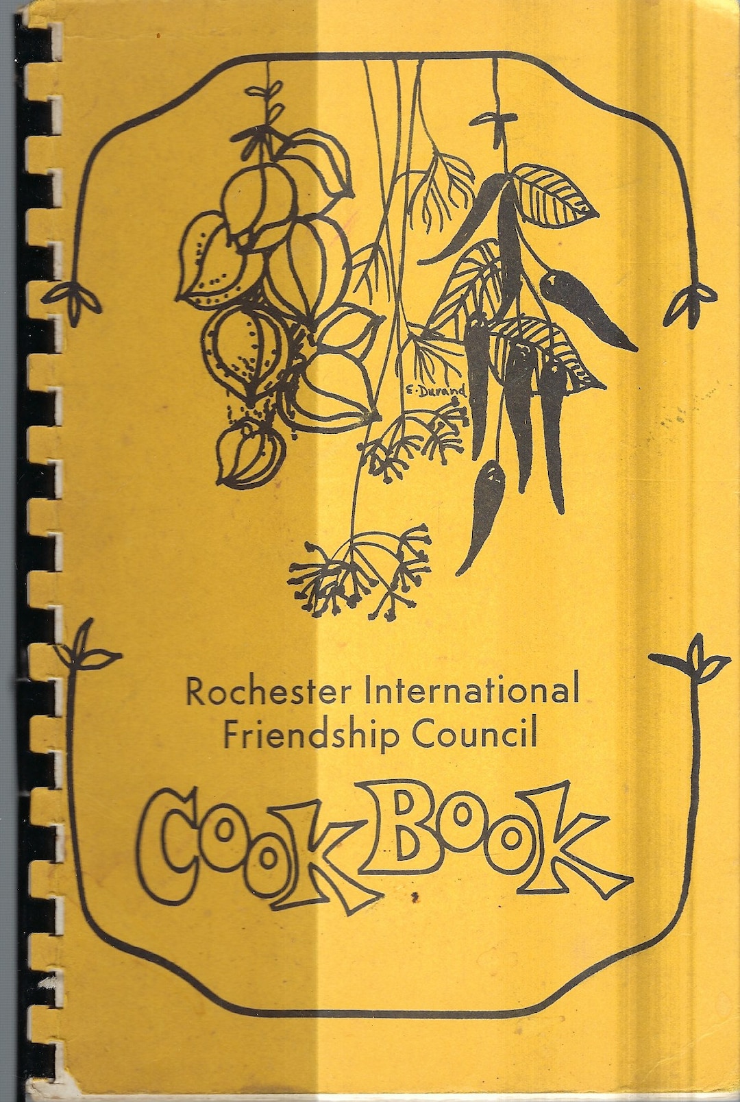 Rochester New York Vintage International Friendship Council All Ethnic