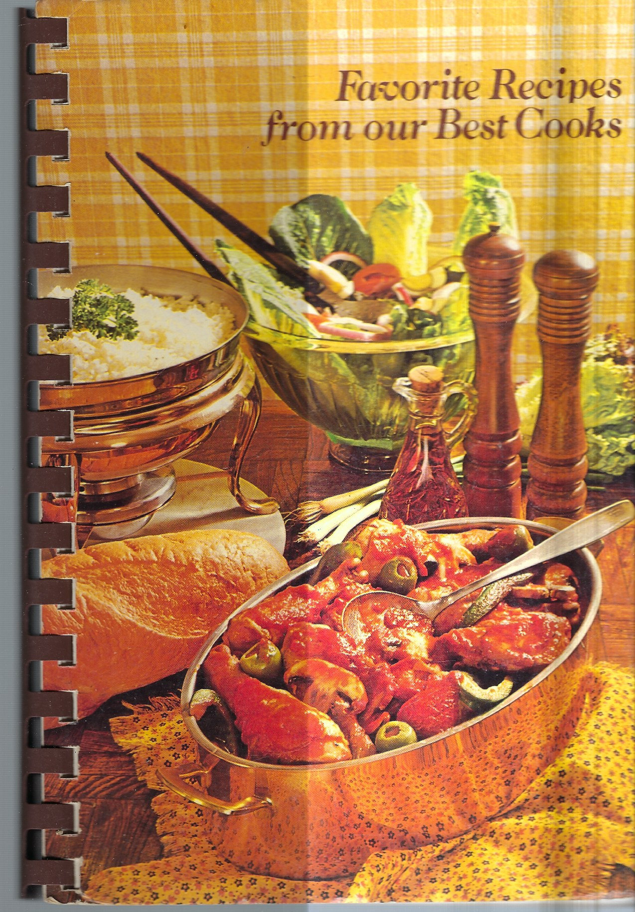 King Ferry New York Vintage 1981 Southern Cayuga County Girl Scouts