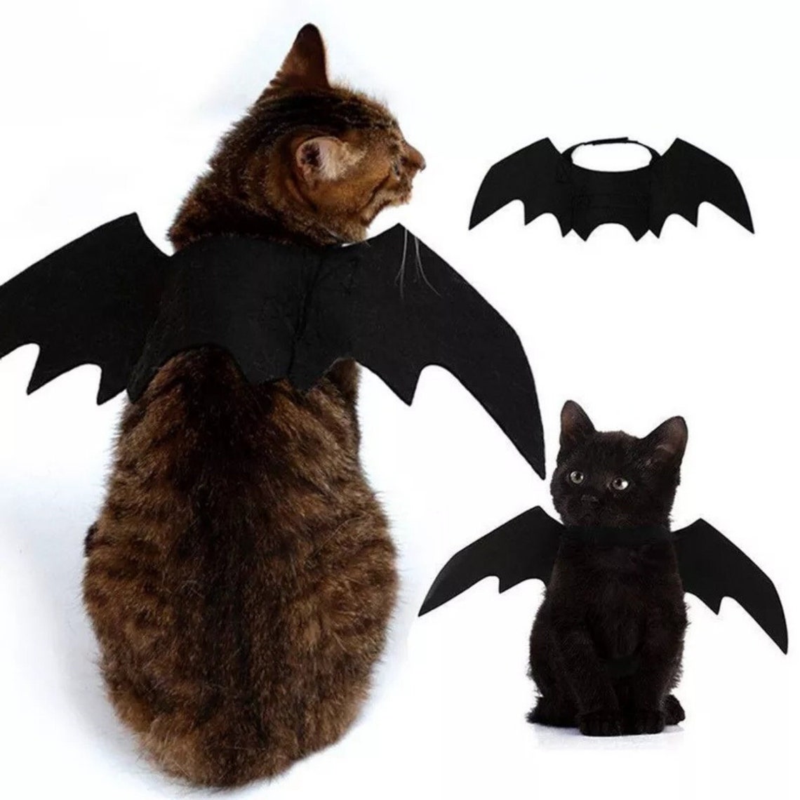CULEB Fledermaus Kostüm Für Katze & Hund - Halloween Flügel Aus Filz