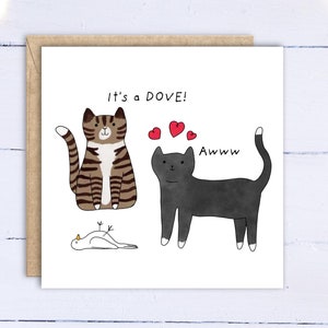 Tarjeta de San Valentín con un gato divertido. Tarjeta de aniversario o de San Valentín para esposo, esposa, novio, novia. Tarjeta de San Valentín del gato.