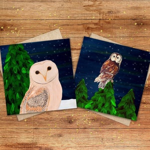 Christmas card set of six. Owl Christmas card set featuring a barn owl and tawny owl. Owl greetings cards. Bird Christmas greetings cards.