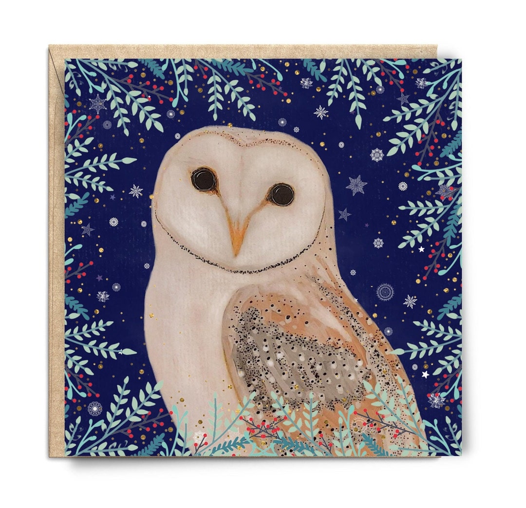 Barn Owl Christmas Card. Bright and Colourful Christmas Cards - Etsy