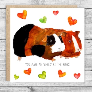 Valentijnskaart voor cavia's. Valentijnskaart voor huisdieren. Grappige valentijnskaart. Cavia minnaar kaart. Eigenaarskaart voor cavia's.