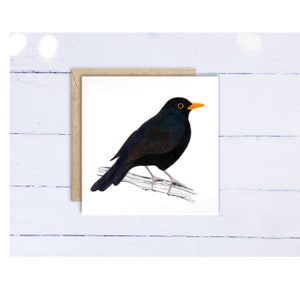 Tarjeta de felicitación de mirlo. Tarjeta de cumpleaños para amante de los pájaros. Tarjeta de felicitación en blanco, tarjeta de notas, tarjeta de condolencia, tarjeta impresa de arte de aves, ornitólogo.