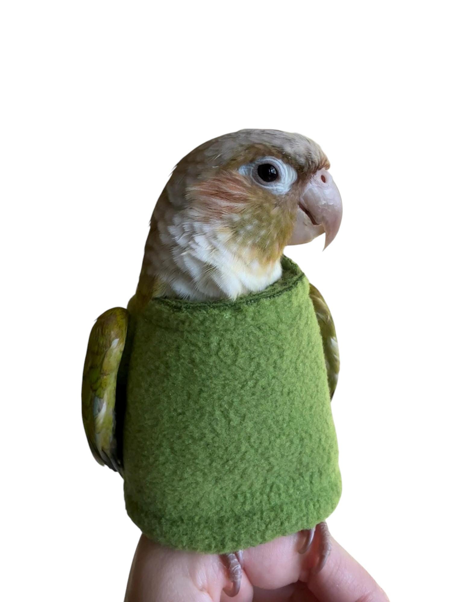 Bird Sweater for Pluckers Canada