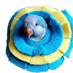 Soft Bird Collar for Sun Conure and Quaker Parrots
