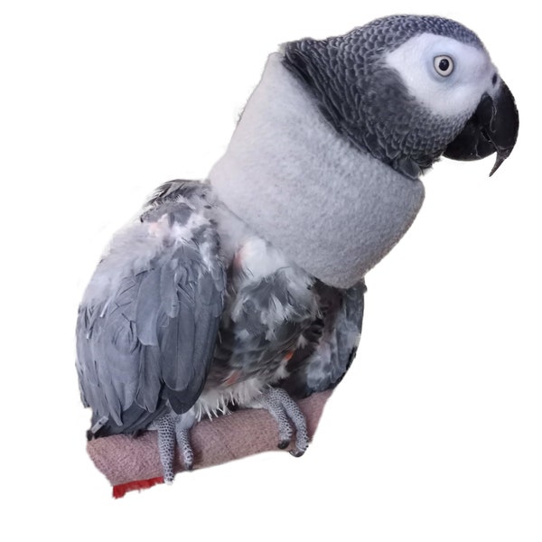 Soft Bird Snuggy Neck Collar for African Grey Parrots