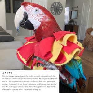 Soft Bird Collar for Macaw Parrots image 9