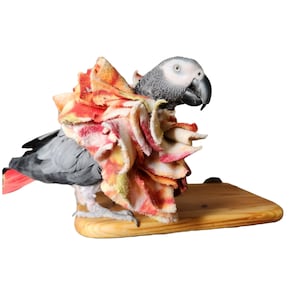 May include: A lifelike sculpture of a gray parrot with a red tail, perched on a wooden base. The parrot is adorned with a colorful, ruffled collar in shades of red, orange, and yellow, resembling a flower.