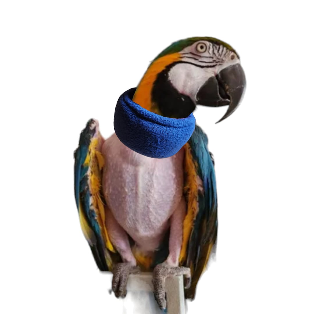 Soft Bird Snuggy Neck Collar for Macaw Parrots