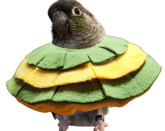 Stiff Insert Cone Collar for Green Cheek Conure, Cockatiels, and Pigeons