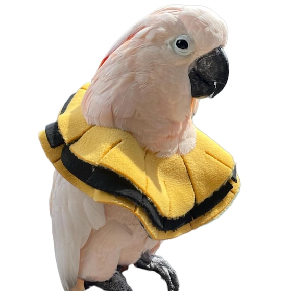 Soft Bird Collar for Umbrella Cockatoo, Moluccan Cockatoo & Yellow-Crested Cockatoo Parrots