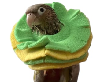 Collar suave para pájaros, ideal para cotorras de mejillas verdes, cacatúas y palomas