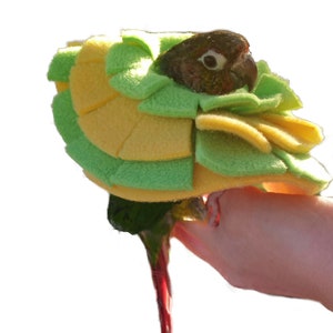 Soft Bird Collar for Green Cheek Conure, Cockatiels, and Pigeons