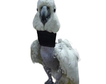 Soft Thin Neck Collar for Umbrella Cockatoos, Moluccan Cockatoo & Yellow-Crested Cockatoos