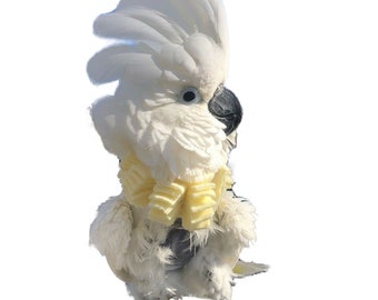 Soft Bird Neck Collar for Umbrella Cockatoo, Moluccan Cockatoo & Yellow-Crested Cockatoo Parrots