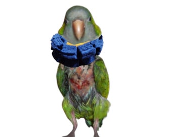 Soft Bird Fringe Neck Collar for Sun Conures and Quaker Parrots