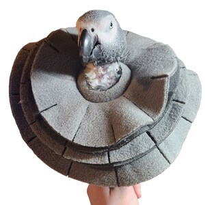 Soft Bird Collar for Congo African Grey Parrots image 3