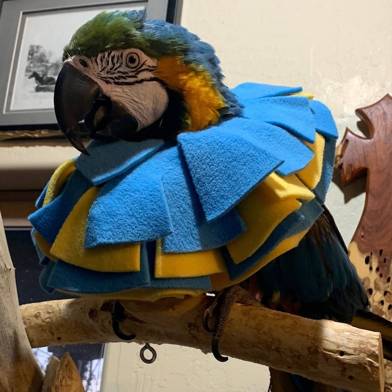Soft Bird Collar for Macaw Parrots image 6