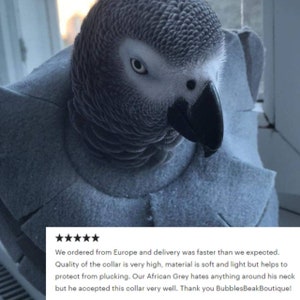 Soft Bird Collar for Congo African Grey Parrots image 7