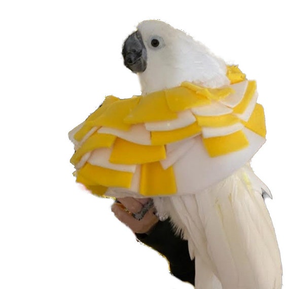 Collar de pájaro suave para cacatúa paraguas y loros cacatúa | Etsy España