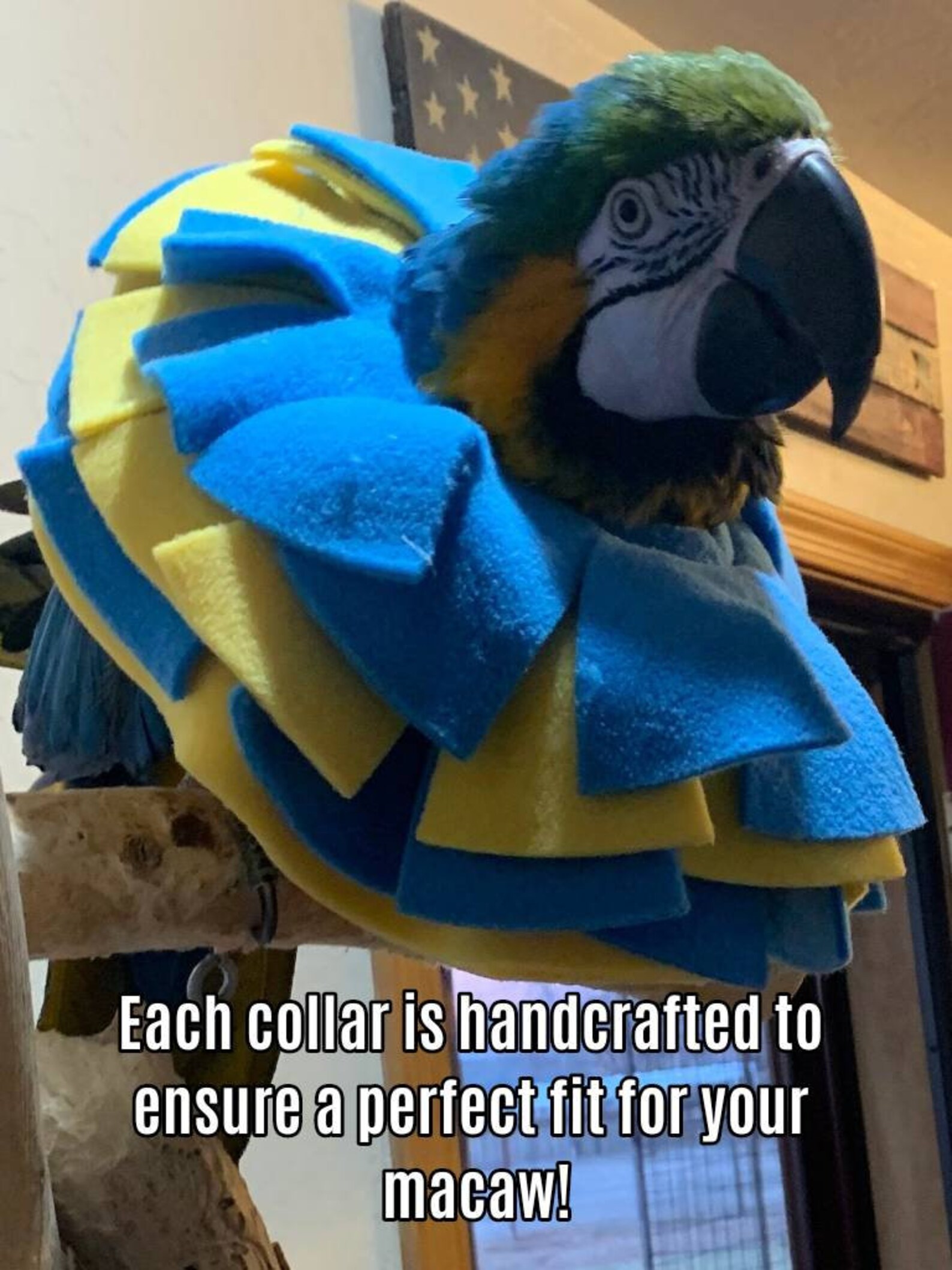 Soft Bird Collar for Macaw Parrots Etsy