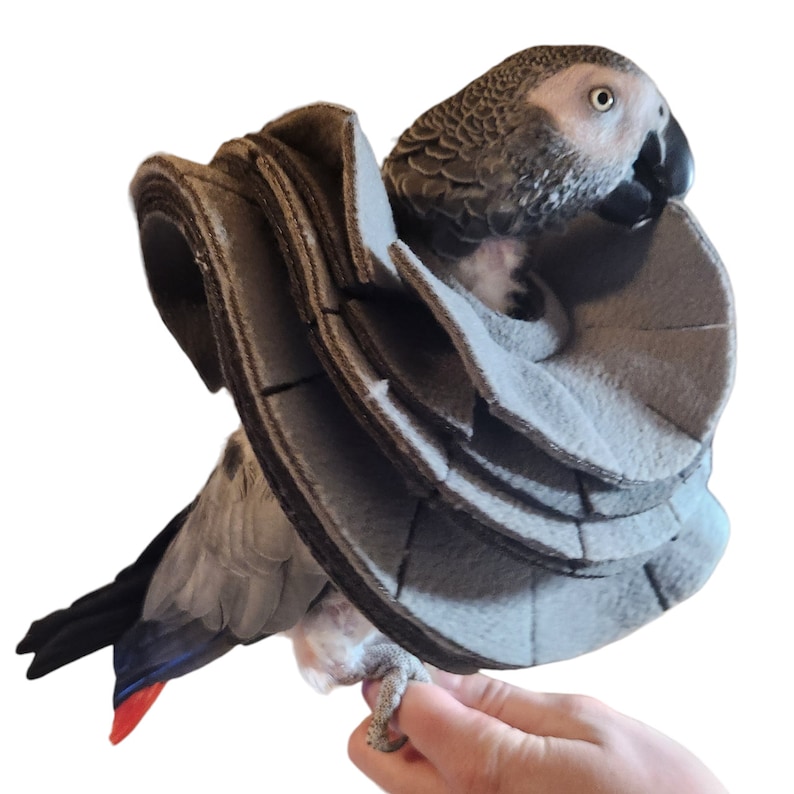 Collar de pájaro suave para loros grises africanos del Congo imagen 1