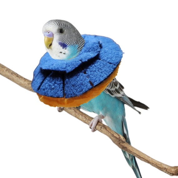 Stiff Insert Cone Collar for Lovebirds and Budgie Birds Etsy UK