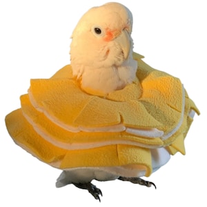 Fabric Bird E-Collar for Goffin Cockatoo or Tanimbar Corella Parrots - Hook & Loop - Metal Snaps - Slip on - Stiff Cone Insert