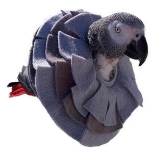 Stiff Plexiglass Insert Cone Collar for African Grey Parrots that Pick/Pluck Feathers