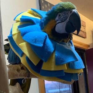 Soft Bird Collar for Macaw Parrots image 8