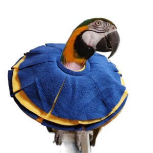 Stiff Insert Cone Bird Collar for Macaw Parrots