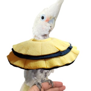 Stiff Soft Bird Collar for Goffin Cockatoo & Tanimbar Corella