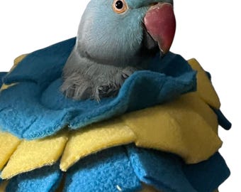 Soft Bird Collar for Sun Conure and Quaker Parrots