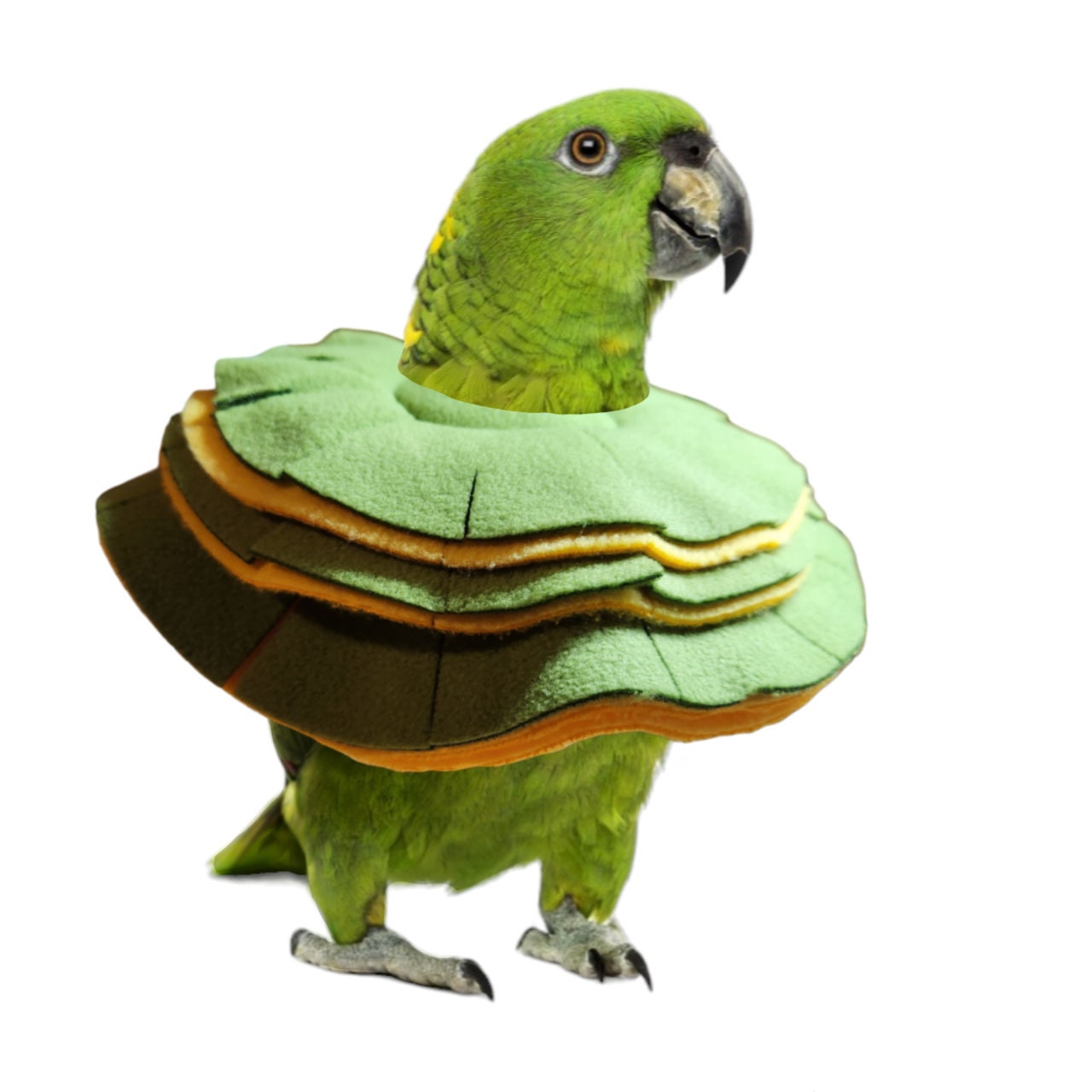 Soft Bird Collar for Yellow-naped, Yellow-fronted, Blue-fronted Amazon  Parrots