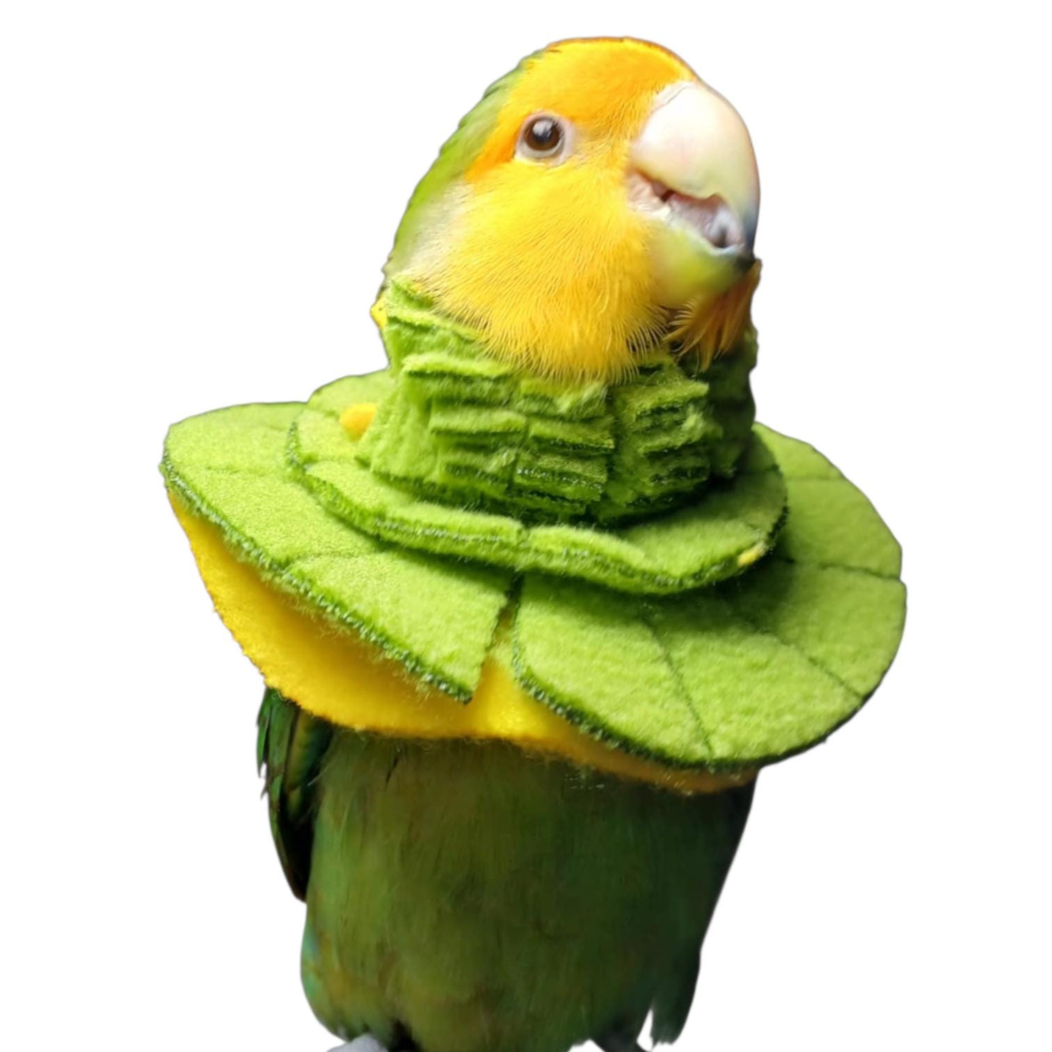 バードカービング(セキセイインコ) セキセイインコのバードカービング（木彫りの鳥）を作ってみませんか